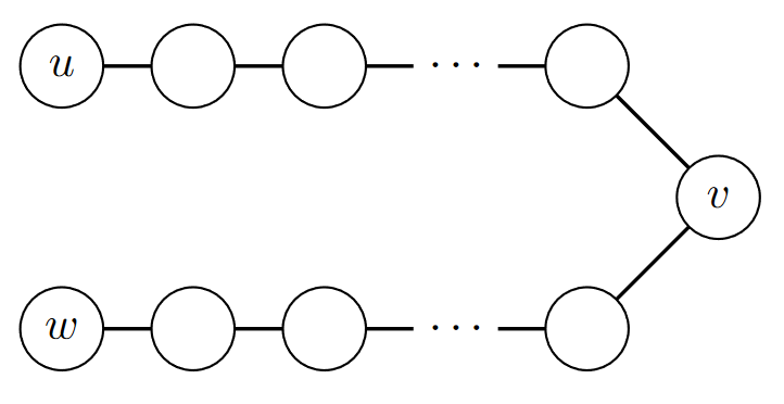 Image of paths from u to v and w to v.