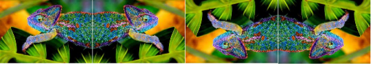 chameleon transformations
